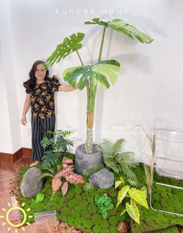 Cây giả Premium cây Monstera lá rùa đột biến cao cấp
