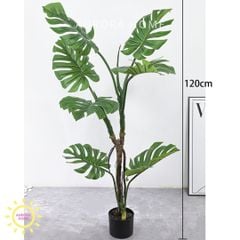 Cây giả Monstera lá xẻ rừng nhiệt đới