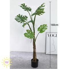 Cây giả Monstera lá xẻ rừng nhiệt đới