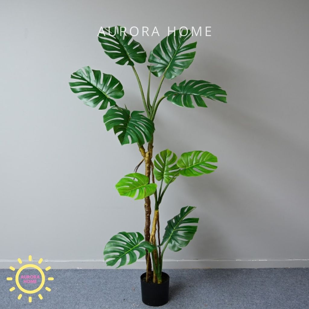 Cây giả Monstera lá xẻ rừng nhiệt đới