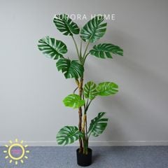 Cây giả Monstera lá xẻ rừng nhiệt đới