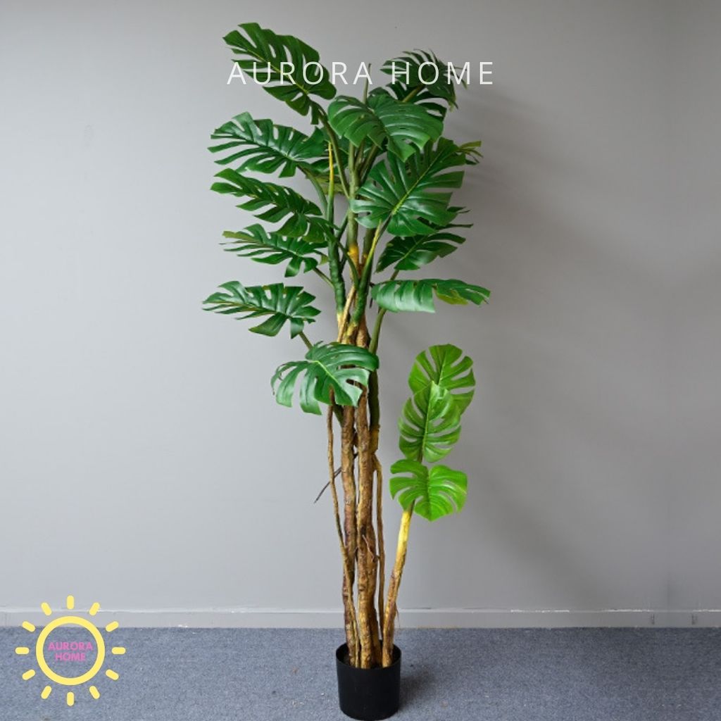 Cây giả Monstera lá xẻ rừng nhiệt đới