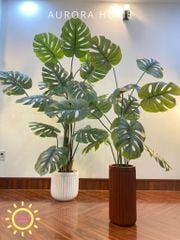 Cây Monstera giả trang trí tán xoè trang trí phòng