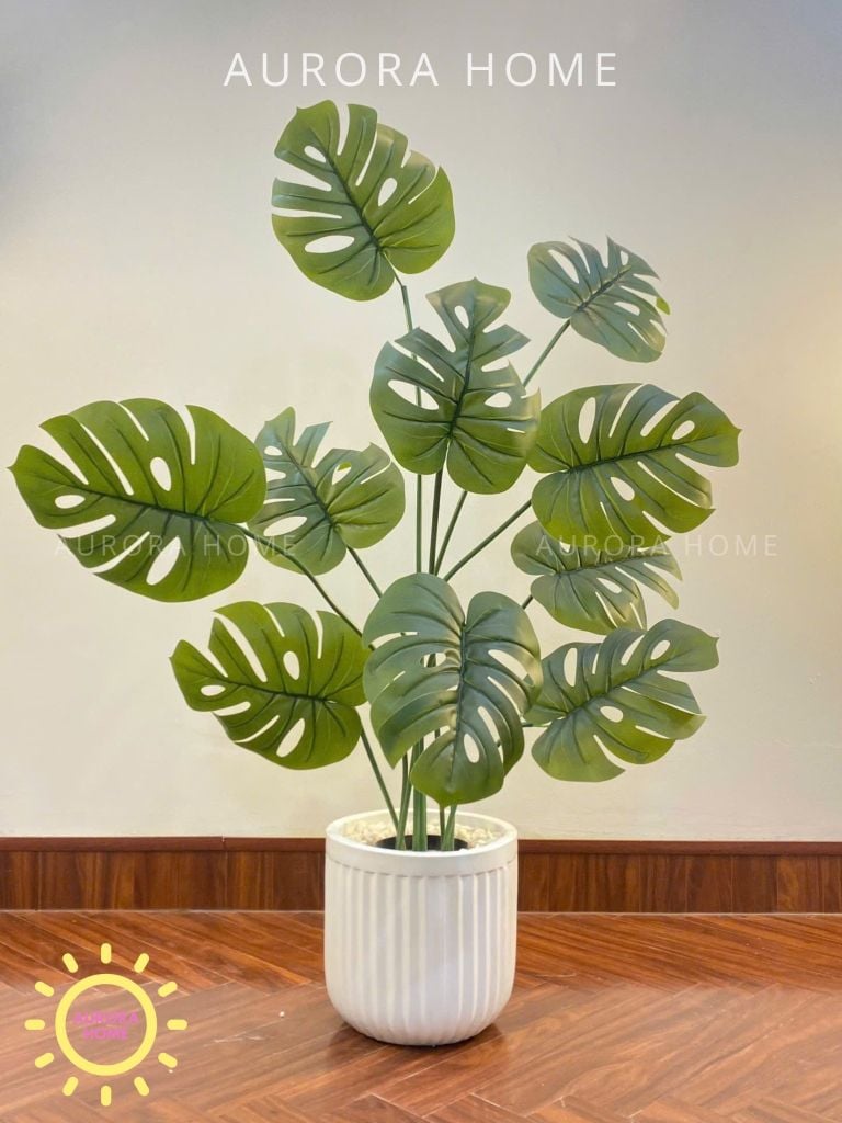 Cây Monstera giả trang trí tán xoè trang trí phòng