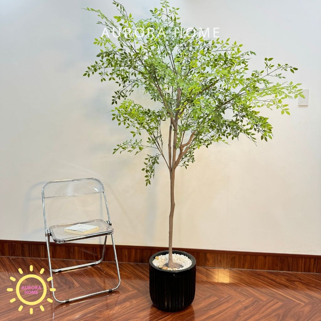 Chậu cây lá tre Nadian giả decor nhà