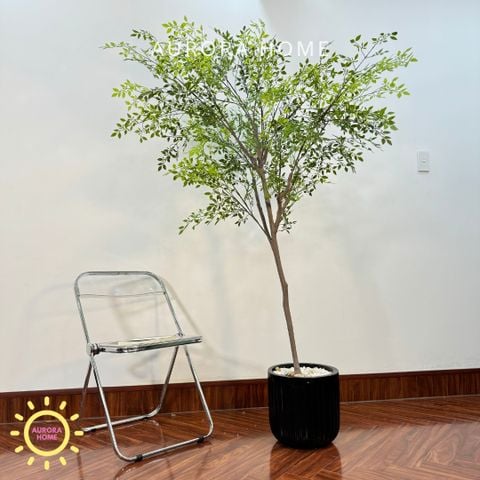 Chậu cây lá tre Nadian giả decor nhà