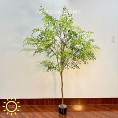 Chậu cây lá tre Nadian giả decor nhà