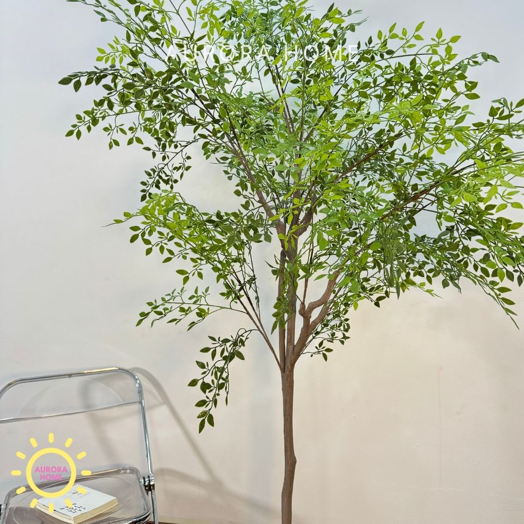 Chậu cây lá tre Nadian giả decor nhà