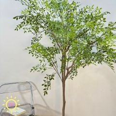 Chậu cây lá tre Nadian giả decor nhà