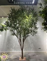 Cây ô liu giả cao thân cổ thụ trang trí sảnh lớn