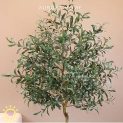 Cây ô liu giả tán tròn trang trí xinh xắn