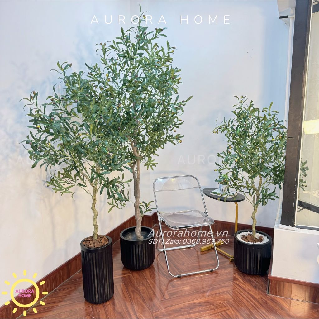 Cây ô liu giả trang trí phòng khách