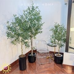 Cây ô liu giả trang trí phòng khách