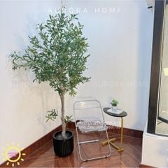 Cây ô liu giả trang trí phòng khách