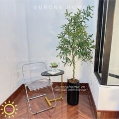 Cây ô liu giả trang trí phòng khách