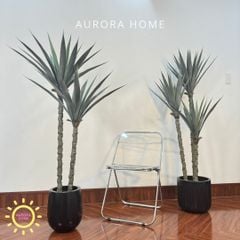 Cây Phất Dụ Rồng giả - Cây giả phong thuỷ mang đến tài lộc