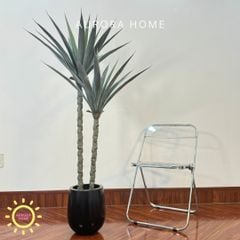 Cây Phất Dụ Rồng giả - Cây giả phong thuỷ mang đến tài lộc