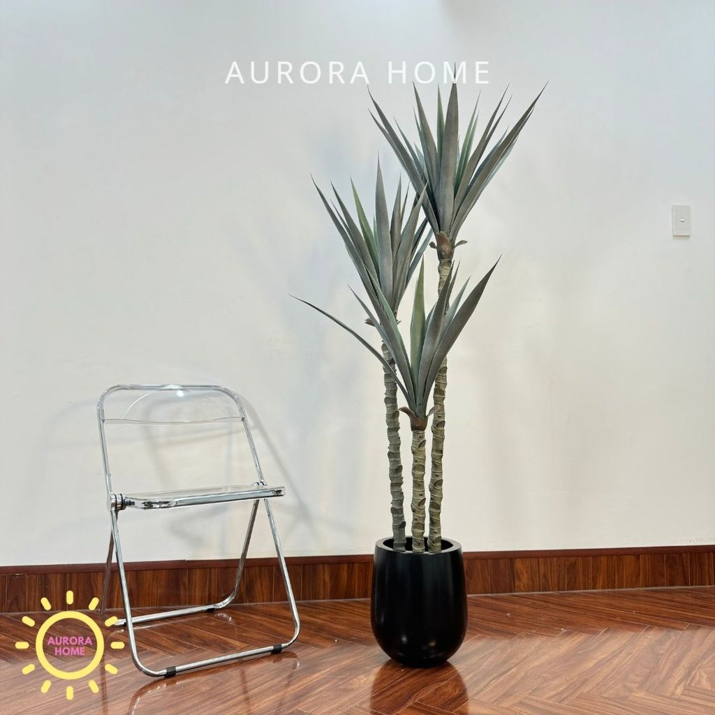 Cây Phất Dụ Rồng giả - Cây giả phong thuỷ mang đến tài lộc