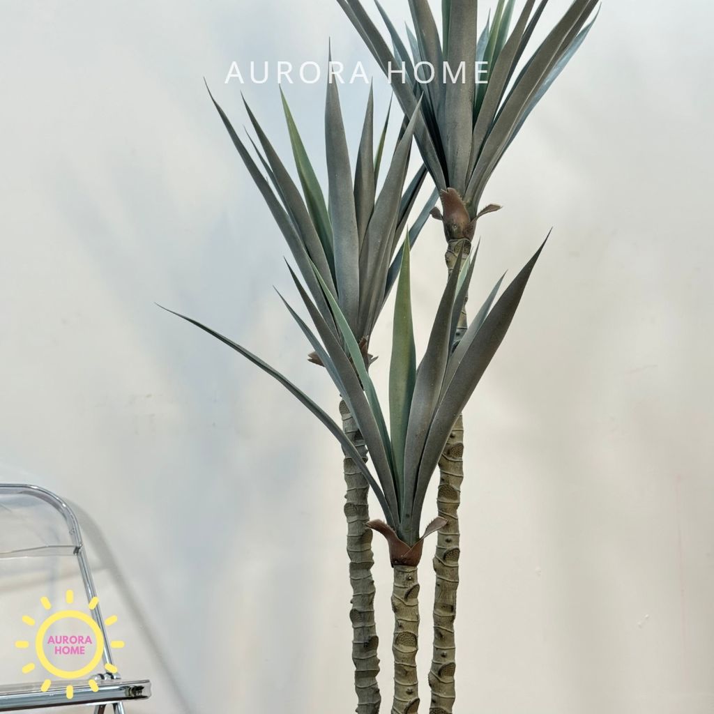 Cây Phất Dụ Rồng giả - Cây giả phong thuỷ mang đến tài lộc