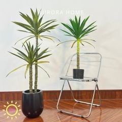 Cây phát tài núi cổ điển cao cấp - cây nhân tạo trang trí
