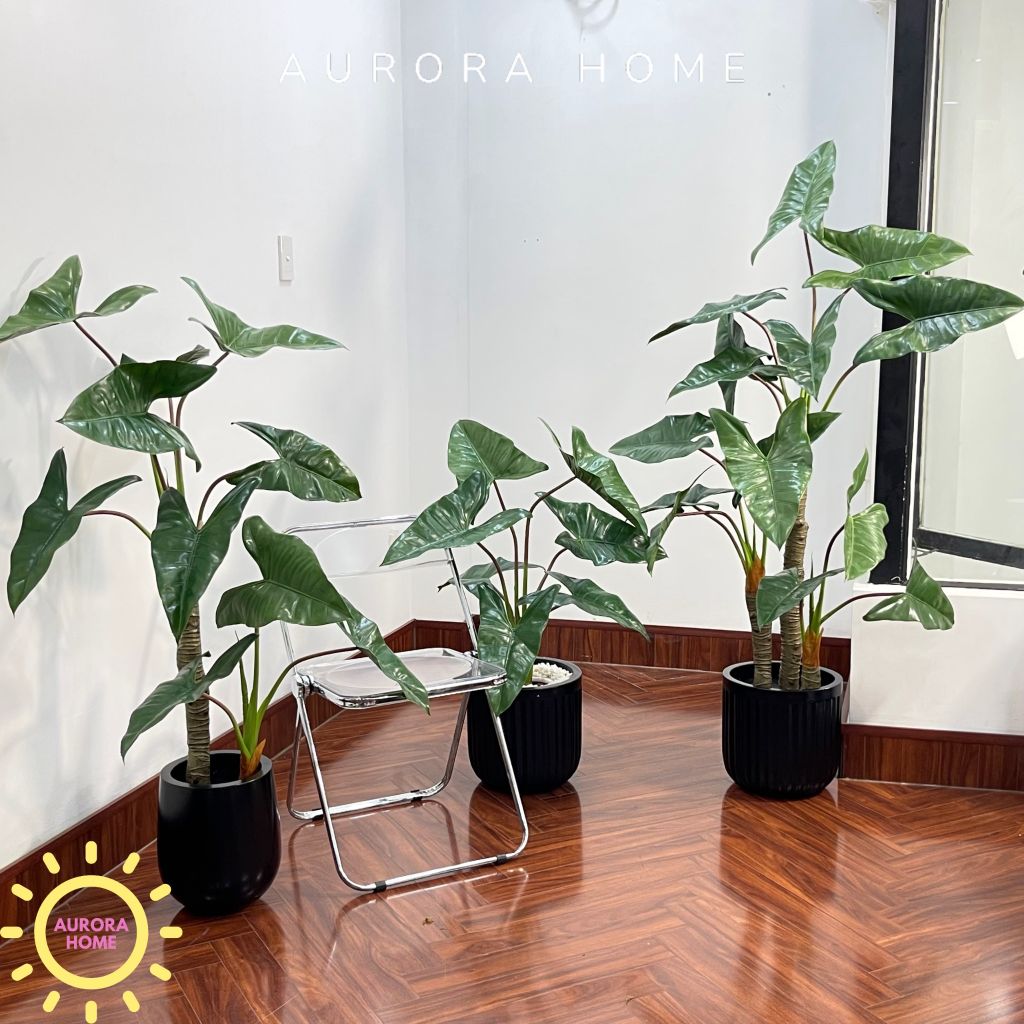 Cây giả Premium cây Ráy Alocasia Frydek