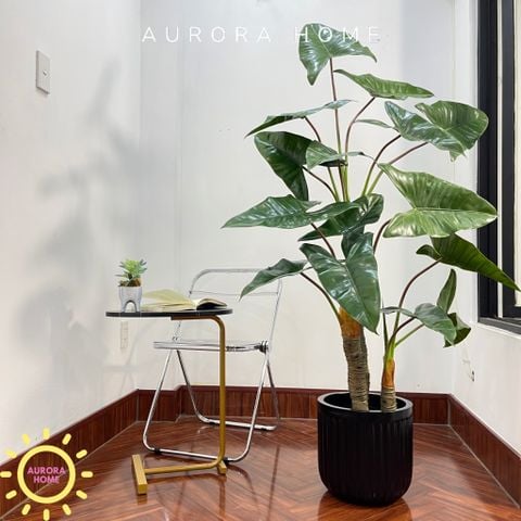 Cây giả Premium cây Ráy Alocasia Frydek