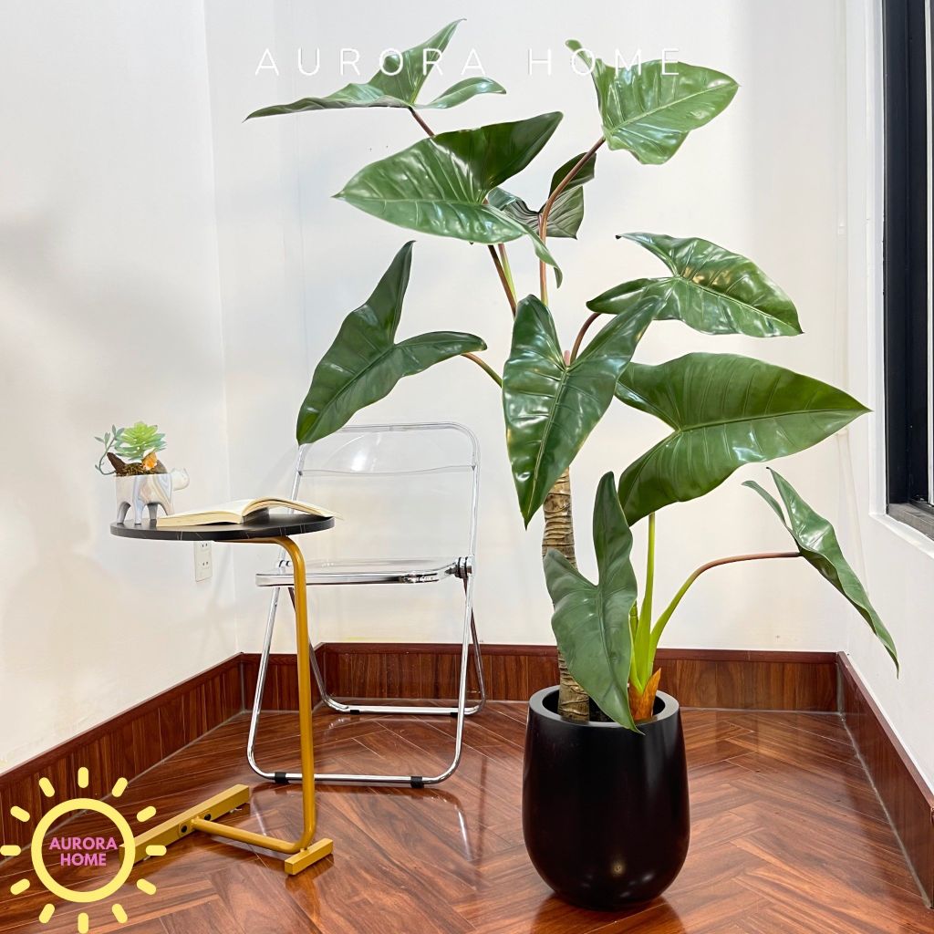 Cây giả Premium cây Ráy Alocasia Frydek