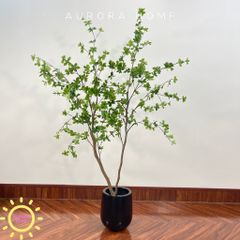 Cây thạch nam giả trang trí nhà
