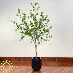 Cây thạch nam giả trang trí nhà