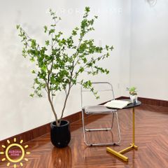 Cây thạch nam giả trang trí nhà