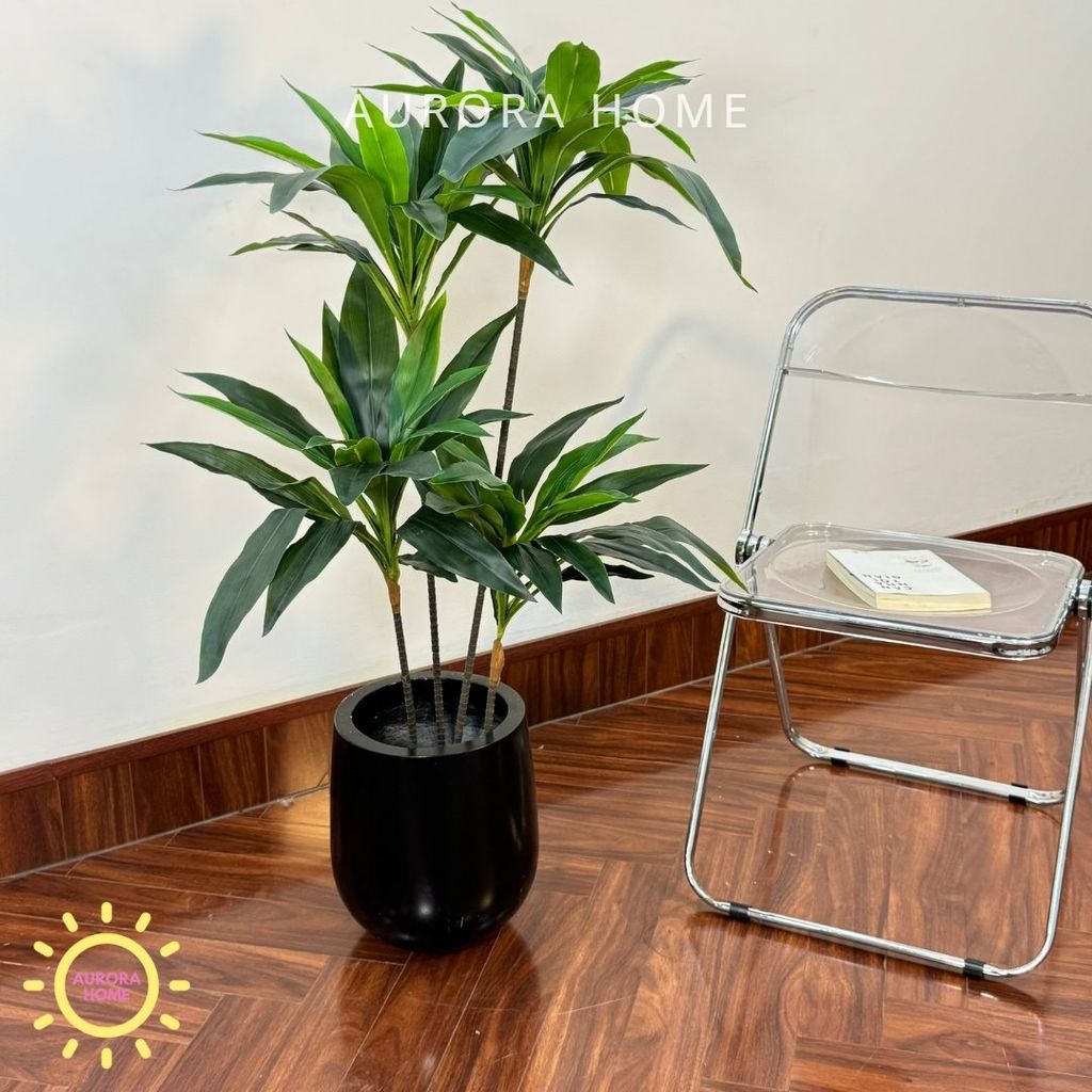 Cây thiết mộc lan (cây phát lộc) giả trang trí