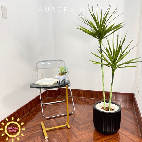 Cây giả Premium cây thùa Tequila