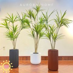 Cây Thuỷ Trúc Giả - Cây giả phong thuỷ dáng đẹp