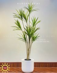 Cây Thuỷ Trúc Giả - Cây giả phong thuỷ dáng đẹp