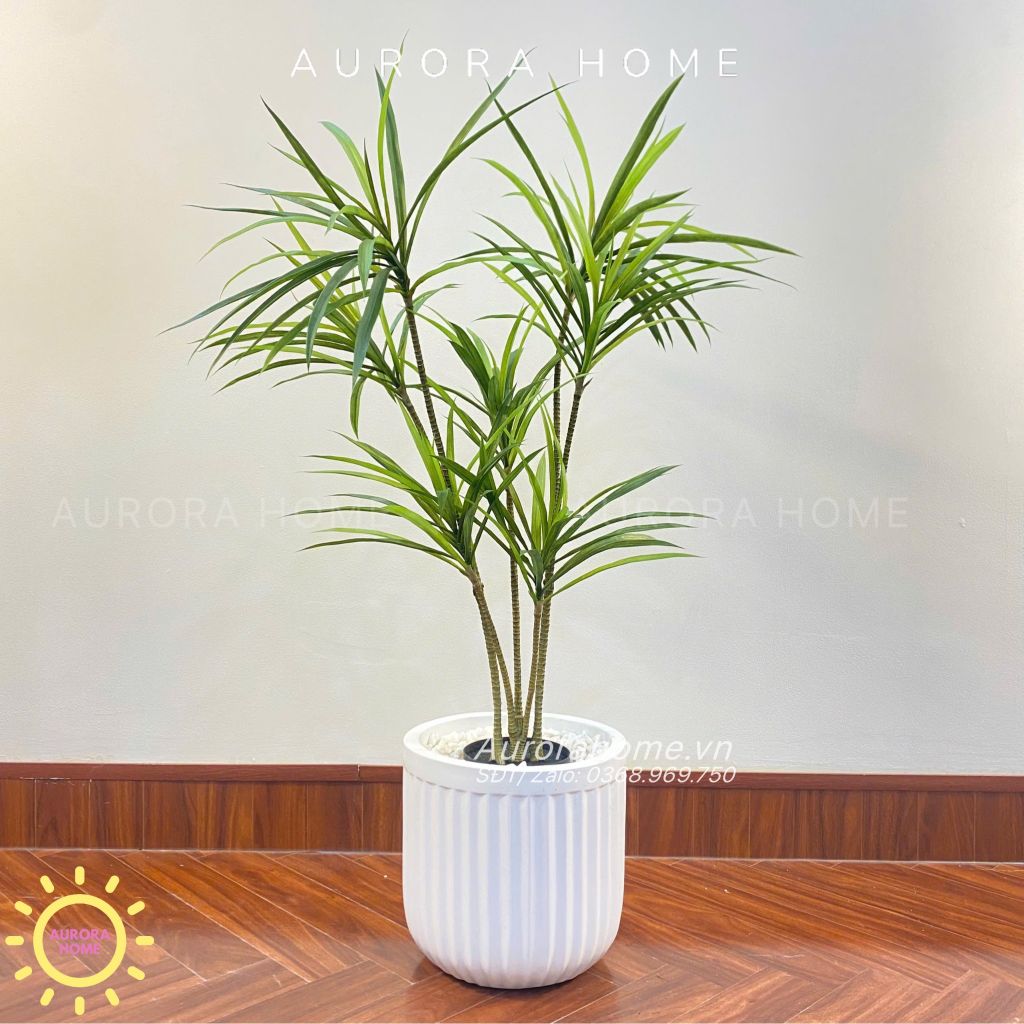 Cây Thuỷ Trúc Giả - Cây giả phong thuỷ dáng đẹp
