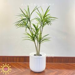 Cây Thuỷ Trúc Giả - Cây giả phong thuỷ dáng đẹp