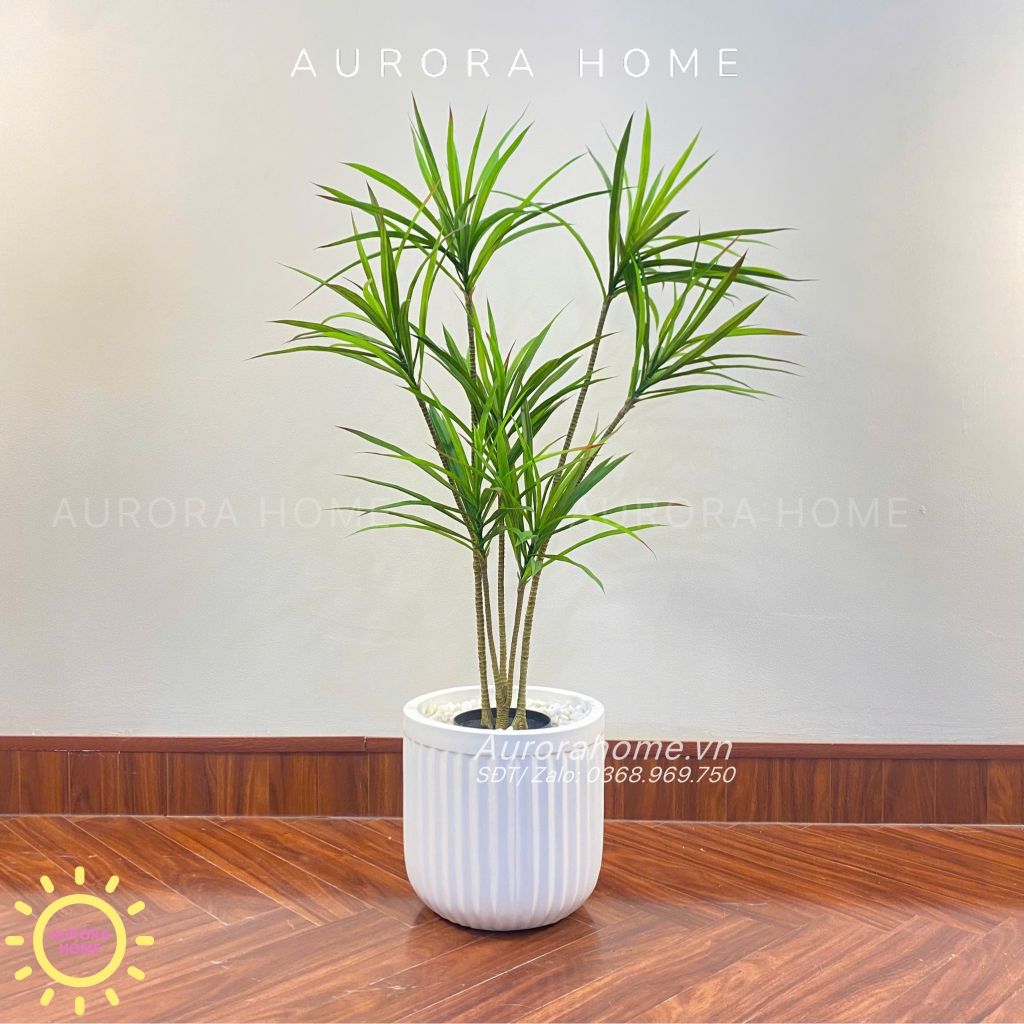 Cây Thuỷ Trúc Giả - Cây giả phong thuỷ dáng đẹp
