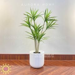 Cây Thuỷ Trúc Giả - Cây giả phong thuỷ dáng đẹp