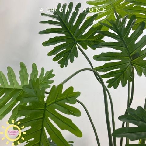 Cây giả Premium trầu bà thanh xuân