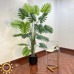 Cây giả Premium trầu bà thanh xuân