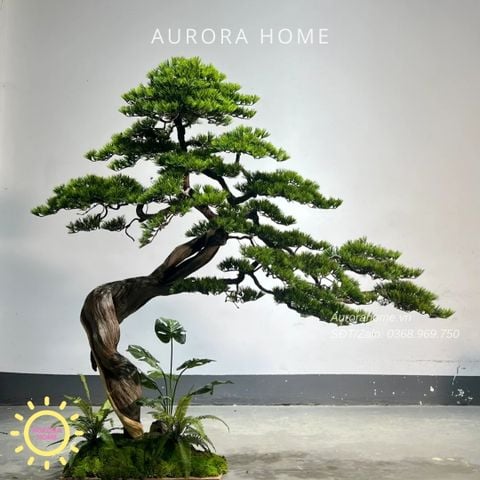 Cây Tùng Bonsai giả dáng huyền trang trí