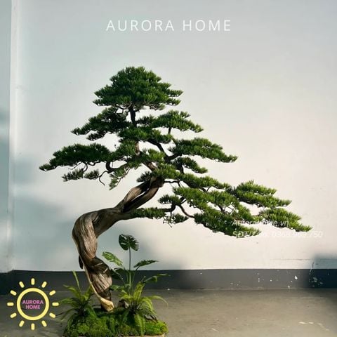 Cây Tùng Bonsai giả dáng huyền trang trí