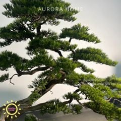 Cây Tùng Bonsai giả dáng huyền trang trí