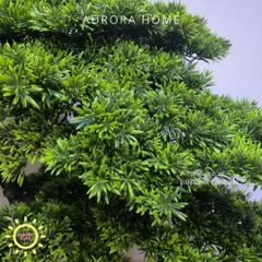 Cây Tùng Bonsai giả dáng huyền đổ trang trí