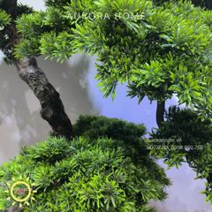 Cây Tùng Bonsai giả dáng huyền đổ trang trí