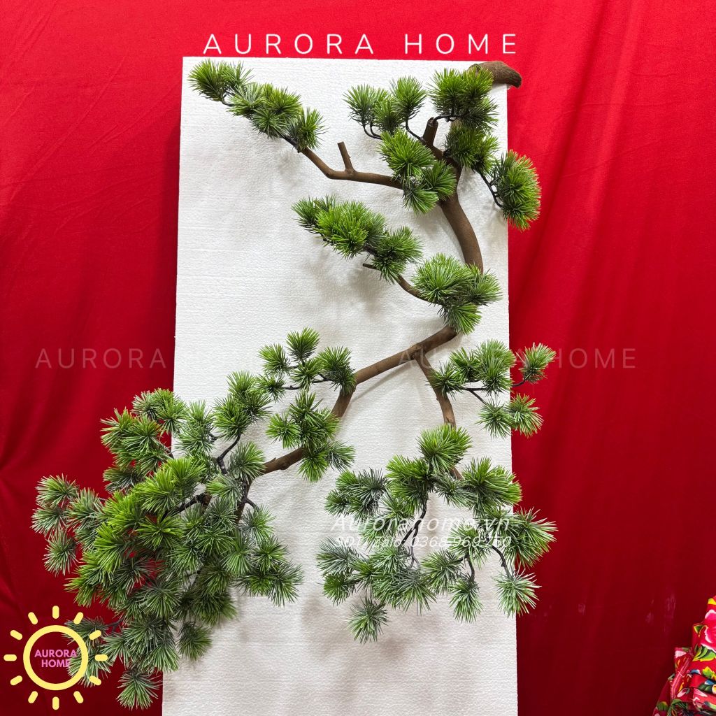 Cây tùng bonsai thả treo thiết kế theo yêu cầu (Mẫu 10)