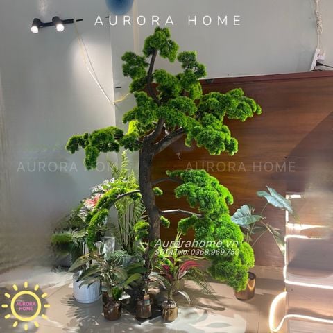 Cây Tùng bonsai giả lớn dáng thượng huyền (mẫu 7)