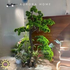Cây Tùng bonsai giả lớn dáng thượng huyền (mẫu 7)