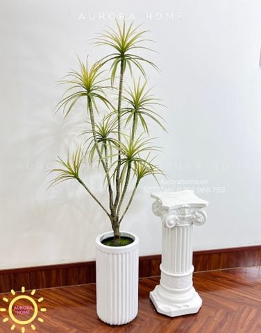 Cây giả Premium cây thùa Tequila dáng đẹp