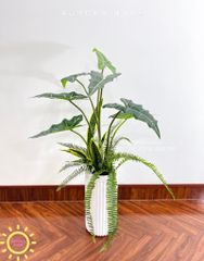 Cây giả trang trí (Set cây decor 03)
